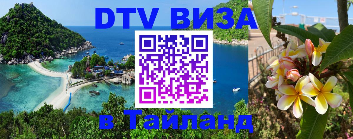 Сколько стоит DTV виза — актуальные цены, оформление даже без документов - 